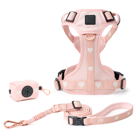 NoMad Adjustable Dog Walking Set