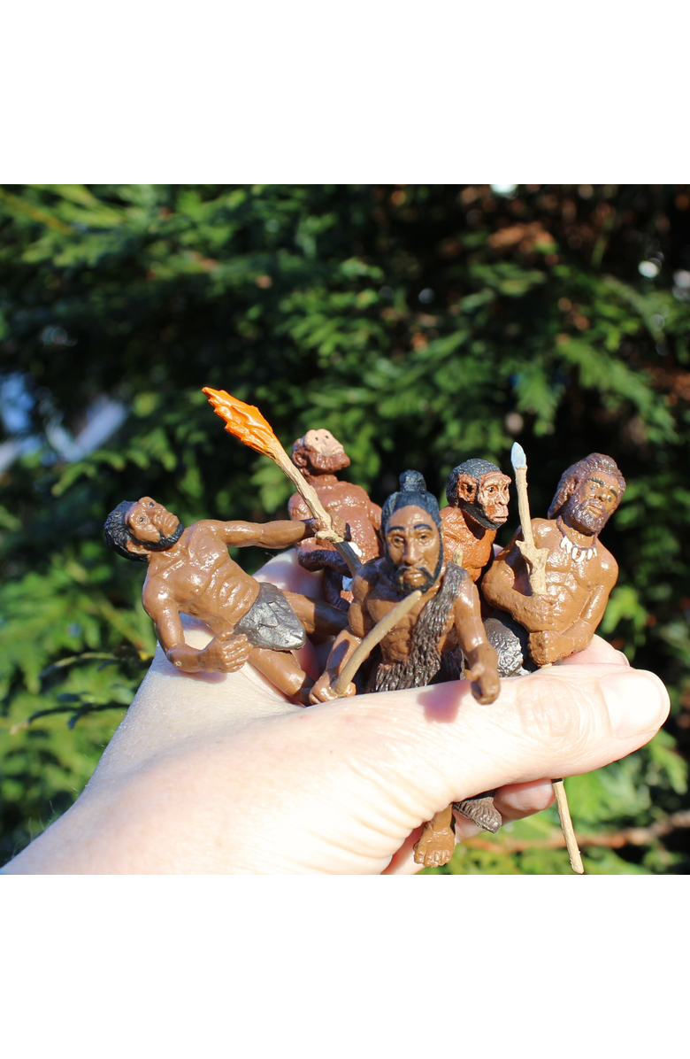 Safari Ltd. Evolution Of Man, Alternate, color, NO COLOR