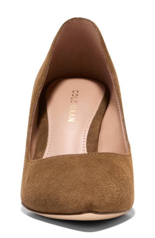 Cole Haan Mylah Pump In Spiced Brown Suede
