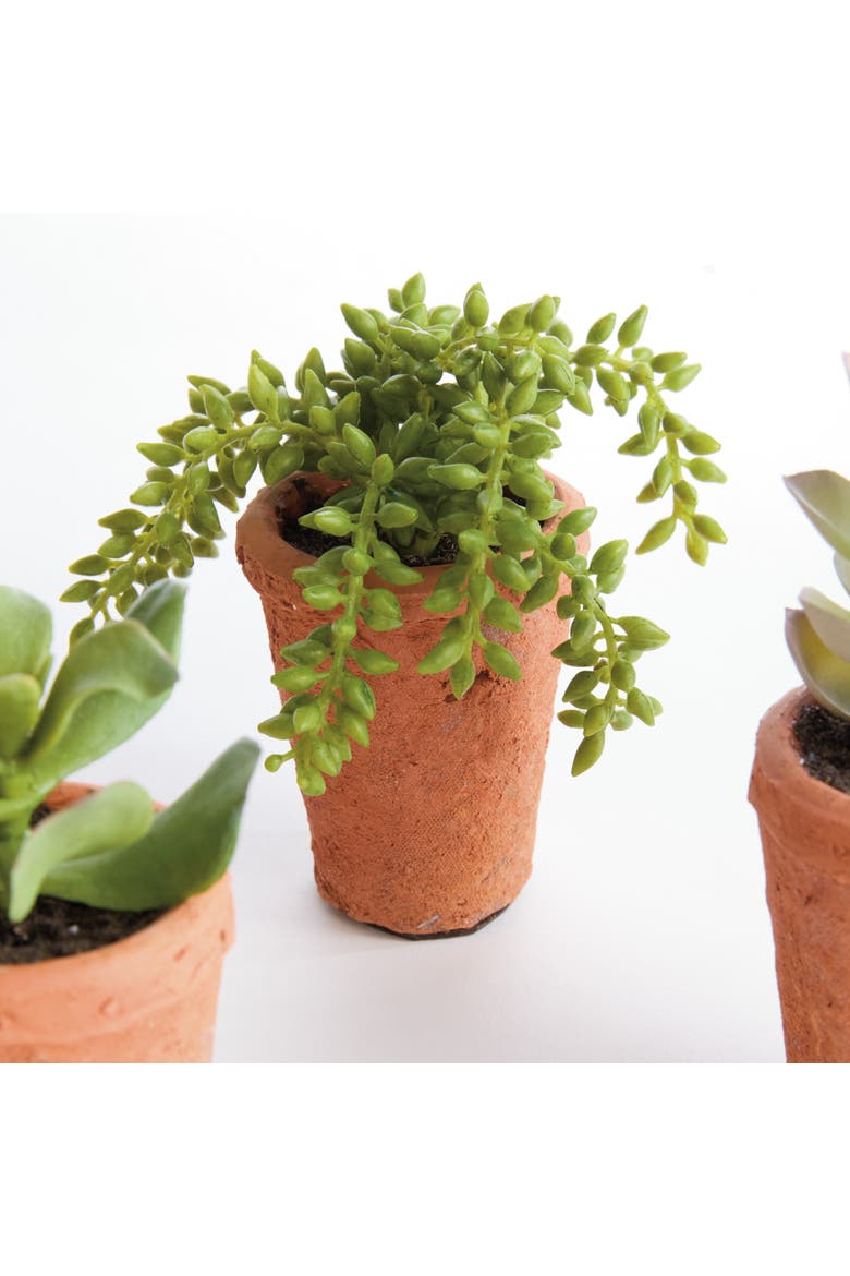 Potted Green Ceramic Succulents 8.5" Set of 6, Alternate, color, Green