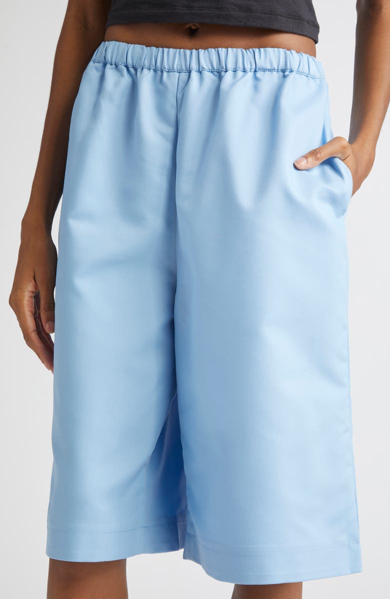 ZANKOV Jackson Waterproof Cotton Shorts, Alternate, color, Hortensia