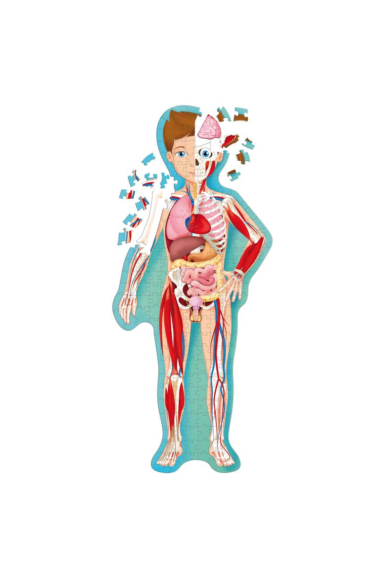 Travel, Learn and Explore The Human Body Puzzle and Book Set, Alternate, color, Multicolored