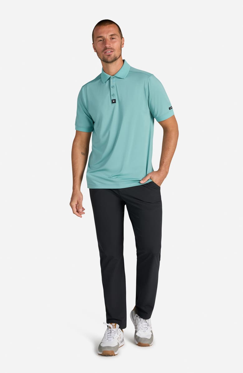 Bad Birdie Ridge Solid Performance Golf Polo, Alternate, color, Slick Green