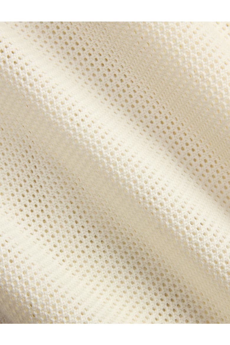 Big & Tall Pointelle Button-Down Polo Shirt, Alternate, color, PALE CREAM