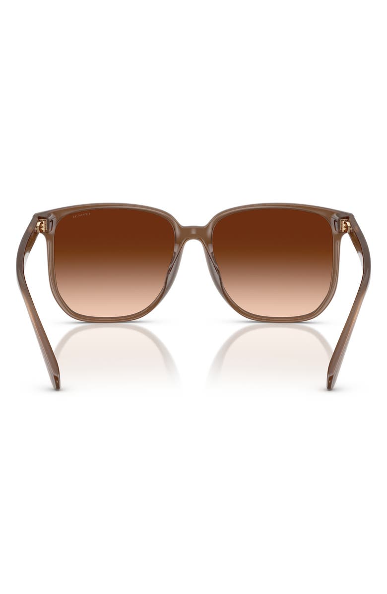 COACH 58mm Gradient Square Sunglasses, Alternate, color, Milky Brown / Brown Gradient