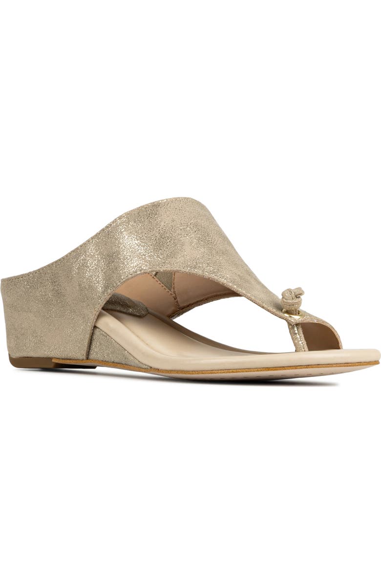 Donald Pliner Toe Loop Wedge Sandal, Main, color, Platino