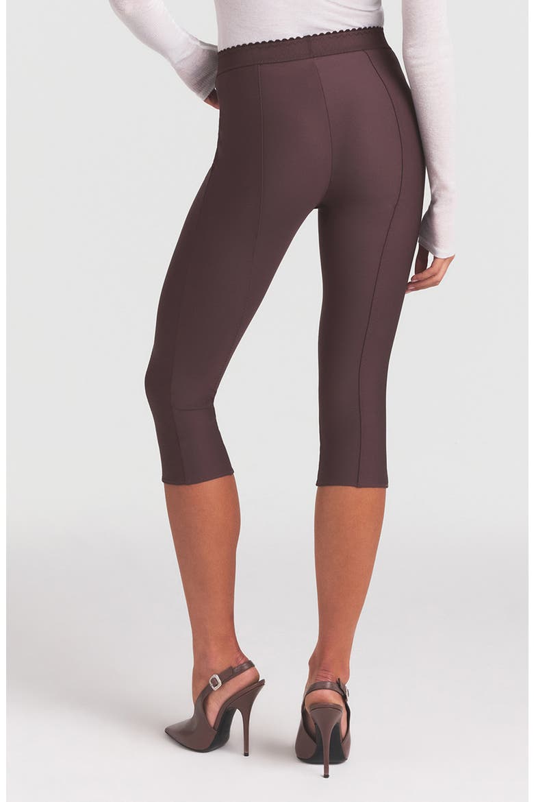 High Waist Capri Pants, Alternate, color, RAISIN