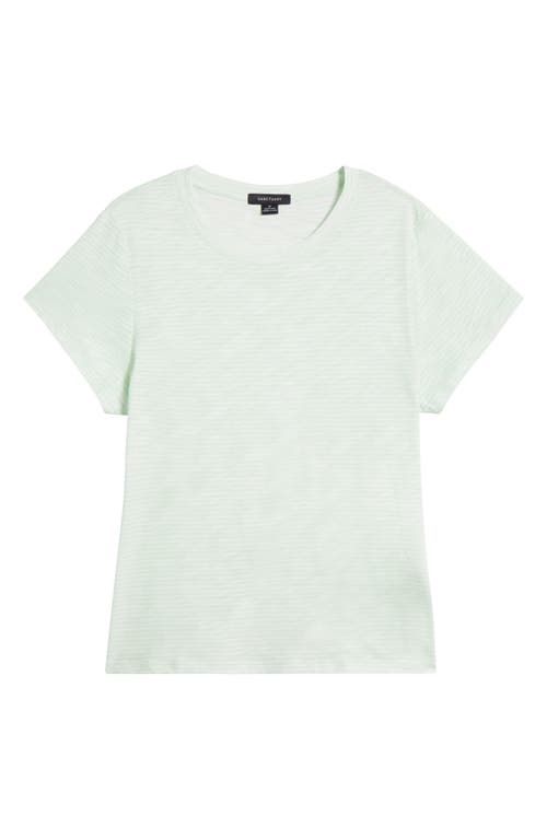 Sanctuary The Perfect T-shirt In Mint Tea