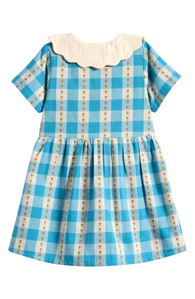 Little Green Radicals Kids' Floral Embroidered Gingham Dress, Alternate, color, Blue