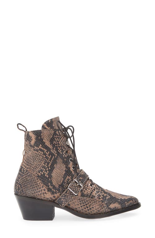 Allsaints Katy Pointed Toe Boot In Brown