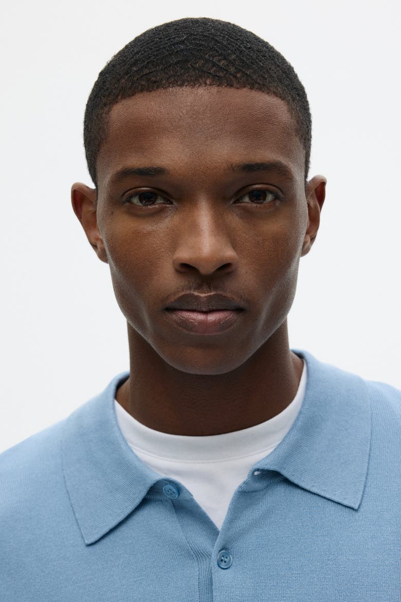 Regular Fit Fine-knit Polo Shirt, Alternate, color, Blue