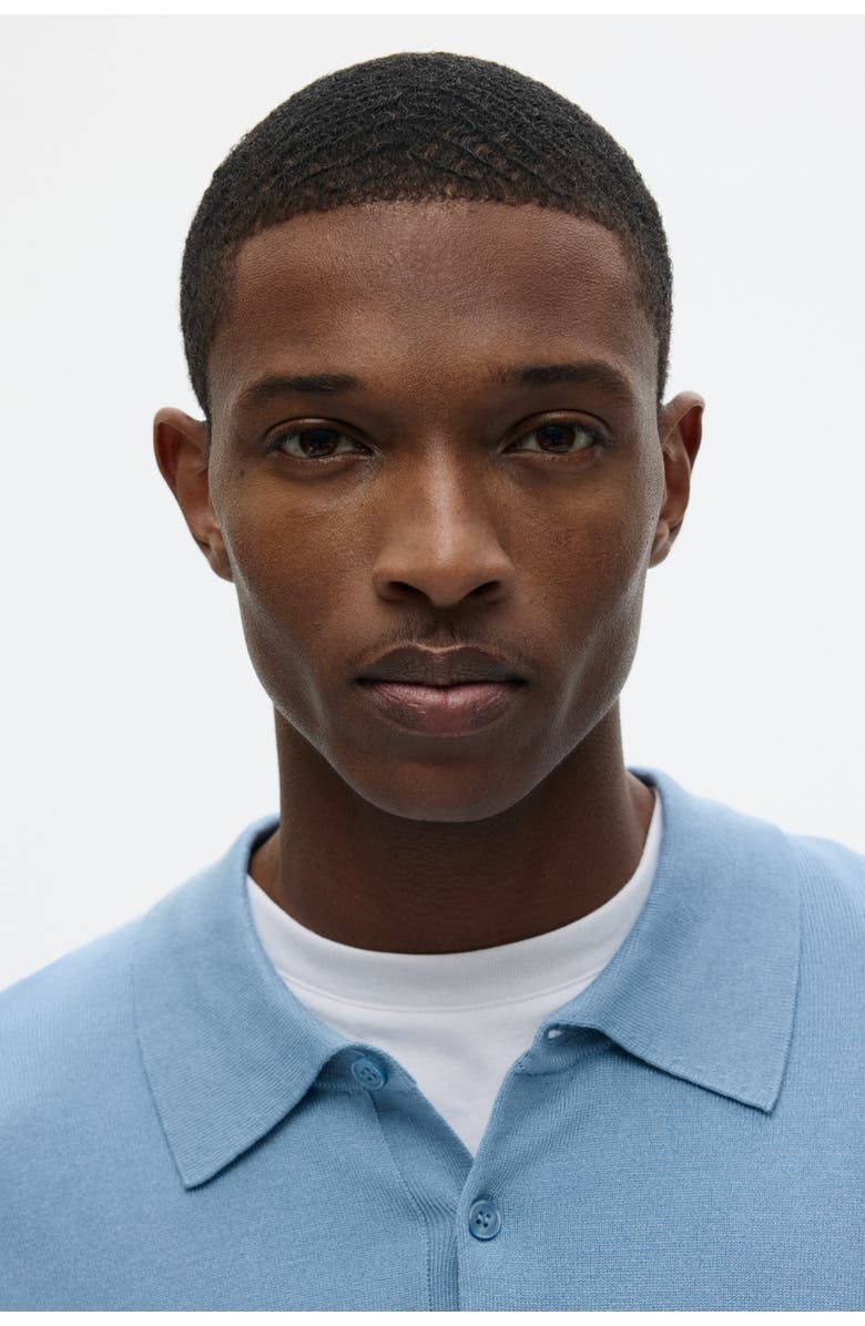 H&M Regular Fit Fine-knit Polo Shirt, Alternate, color, Blue