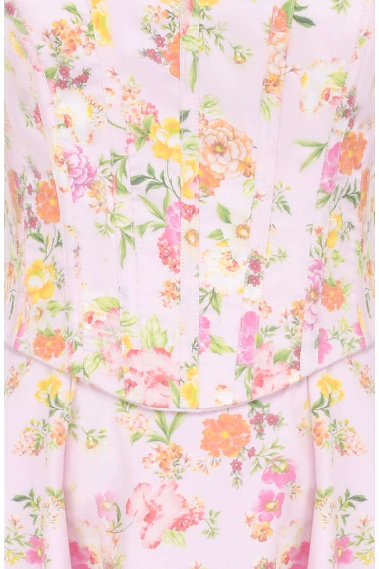 Clarabelle Floral Print Sleeveless Maxi Dress, Alternate, color, PINK FLORAL PRINT