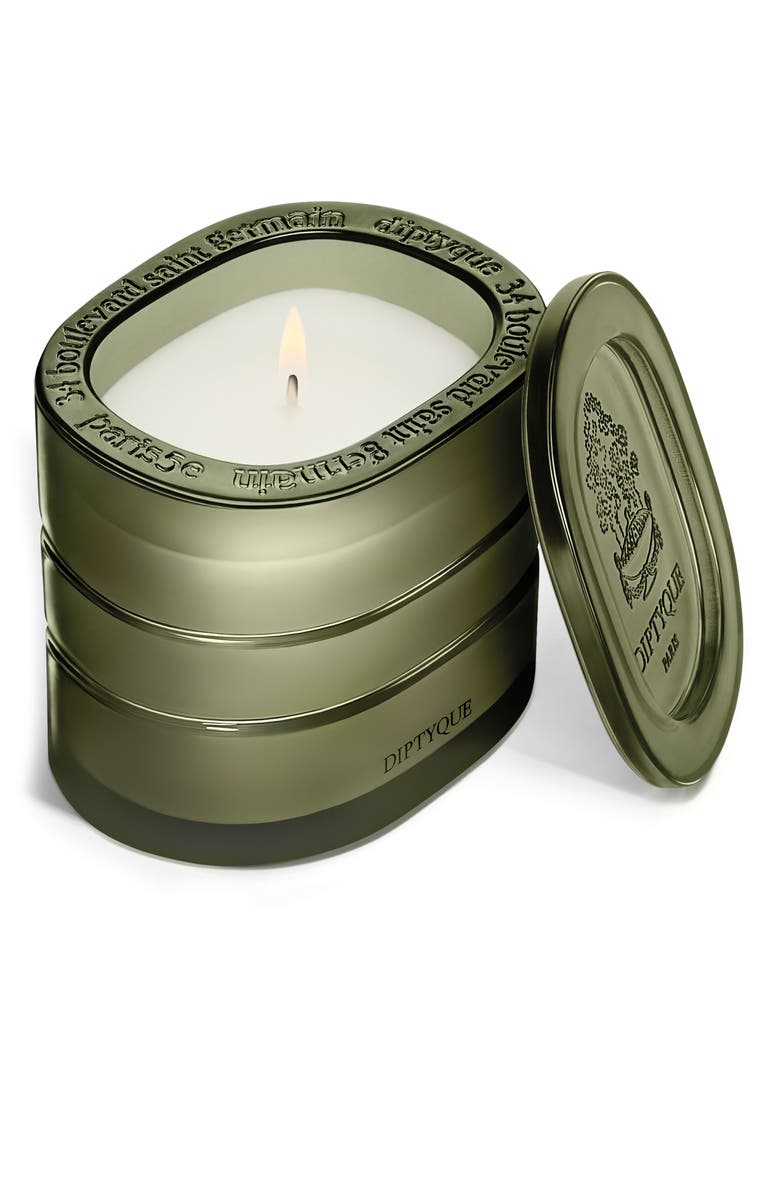 Diptyque Temple des Mousses Refillable Scented Candle, Alternate, color, Regular