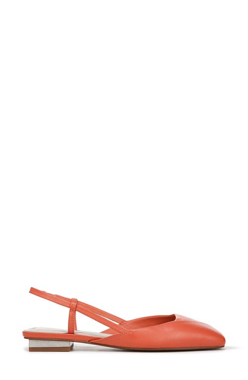 Sarto By Franco Sarto Telica Slingback Flat In Pink