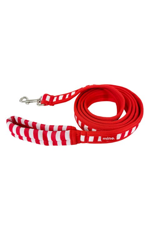Cabana Stripes Leash