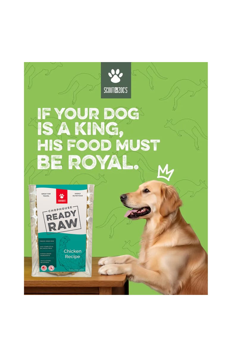 Scout & Zoe's Chophouse Ready Raw, Chicken, 9 Dog Food Freeze Dried Patties, Alternate, color, Multicolored