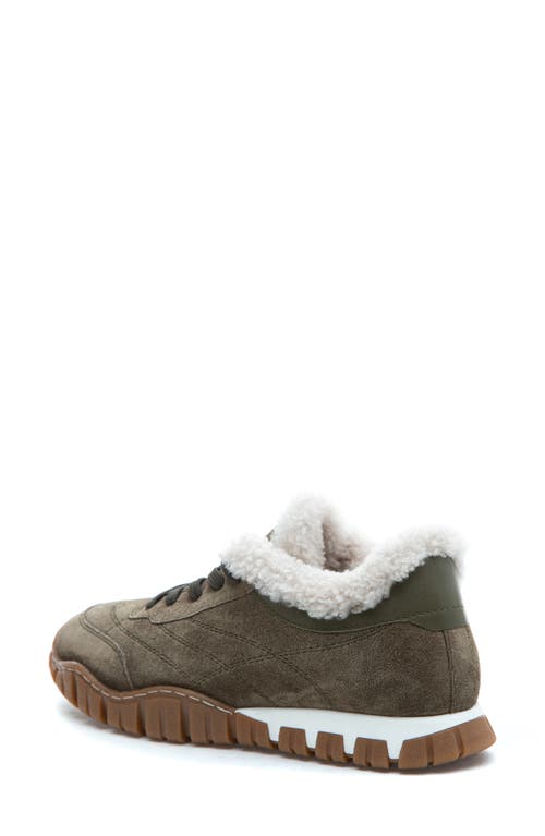 275 Central Qutie Genuine Shearling Lined Sneaker In Green