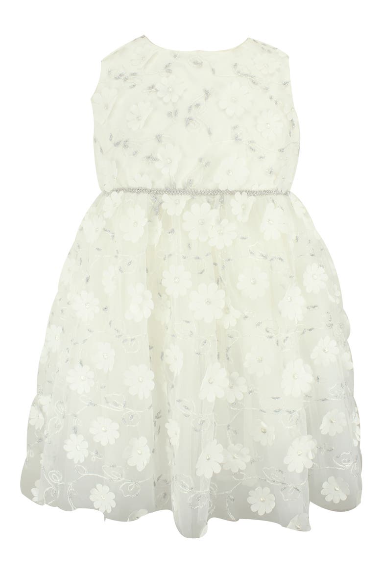 Embroidered Flower Tulle Dress, Main, color, SILVER/ WHITE