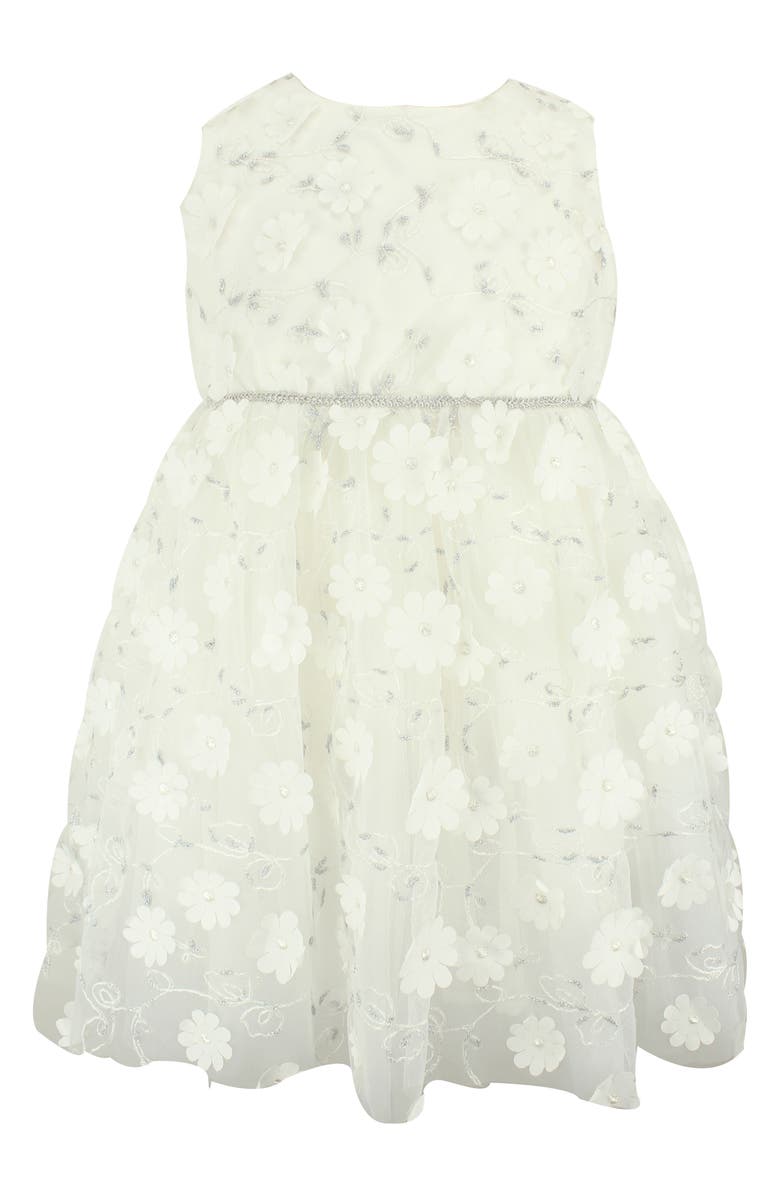 Popatu Embroidered Flower Tulle Dress, Main, color, 