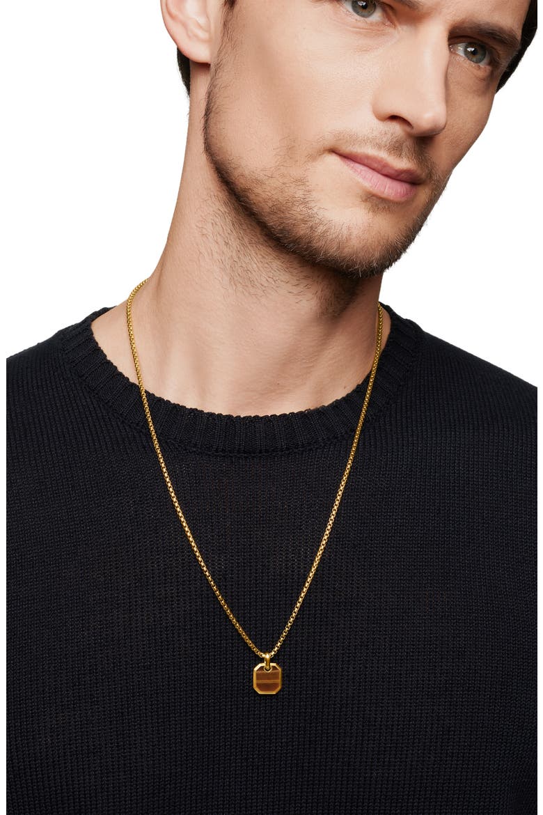 Roman Amulet in 18K Yellow Gold with Tiger's Eye, Alternate, color, 18K YELLOW GOLD