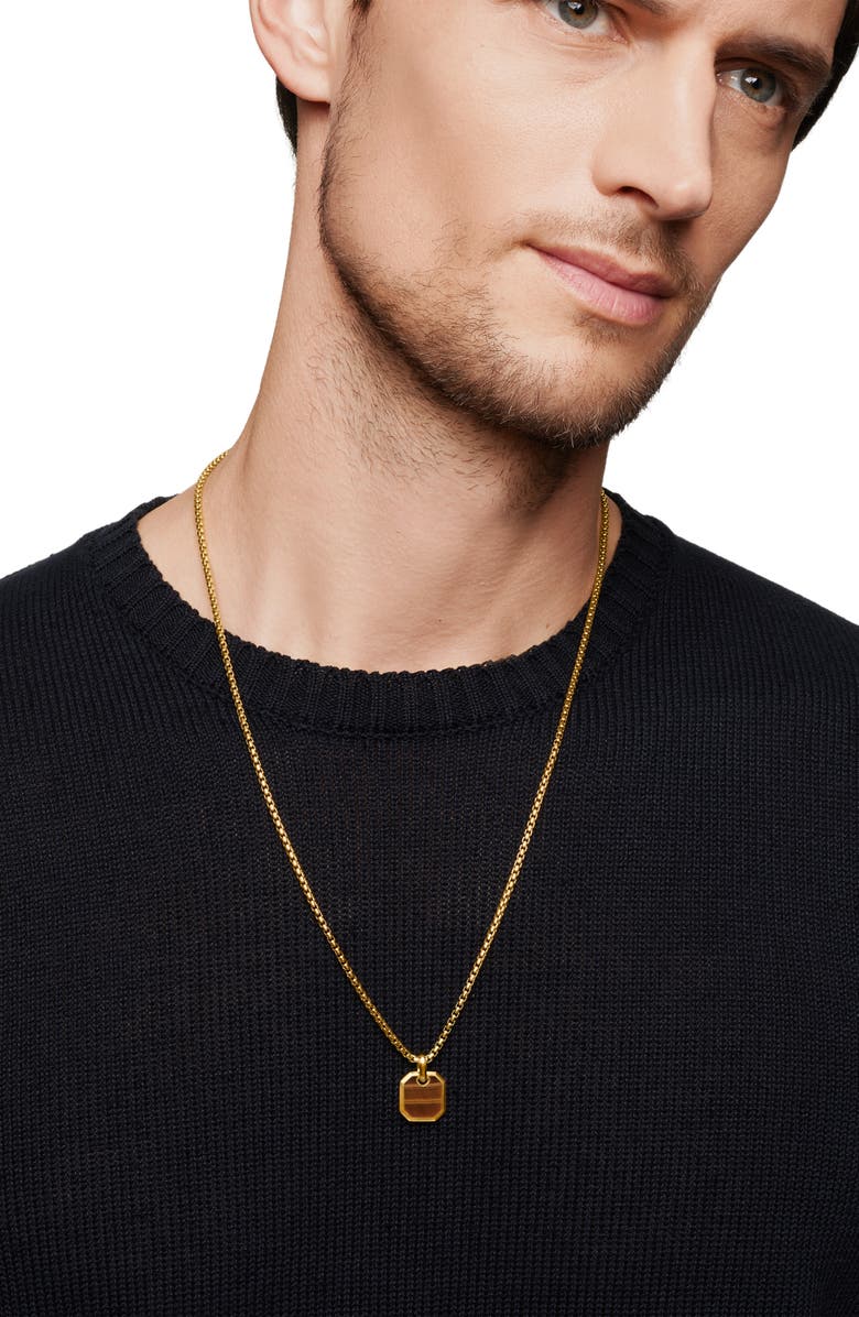 David Yurman Roman Amulet in 18K Yellow Gold with Tiger's Eye, Alternate, color, 18K Yellow Gold