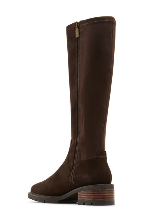 Blondo Harriet Waterproof Knee High Boot In Brown