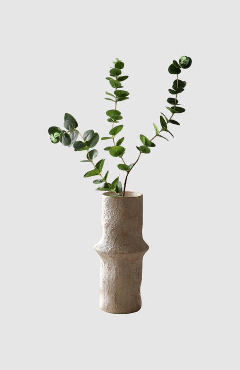 Green Eucalyptus Three Leaves