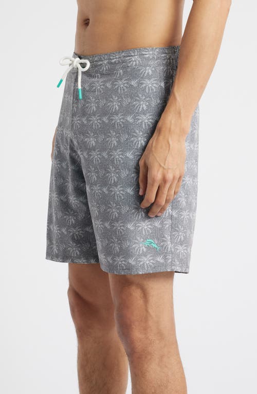Tommy Bahama Baja Palm Piazza 8-inch Board Shorts In Bala Shark