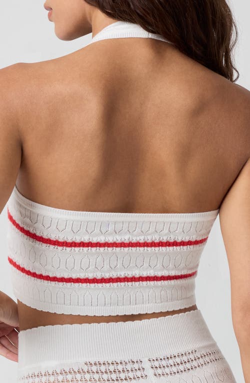 Florence By Mills Pointelle Halter Crop Top In White