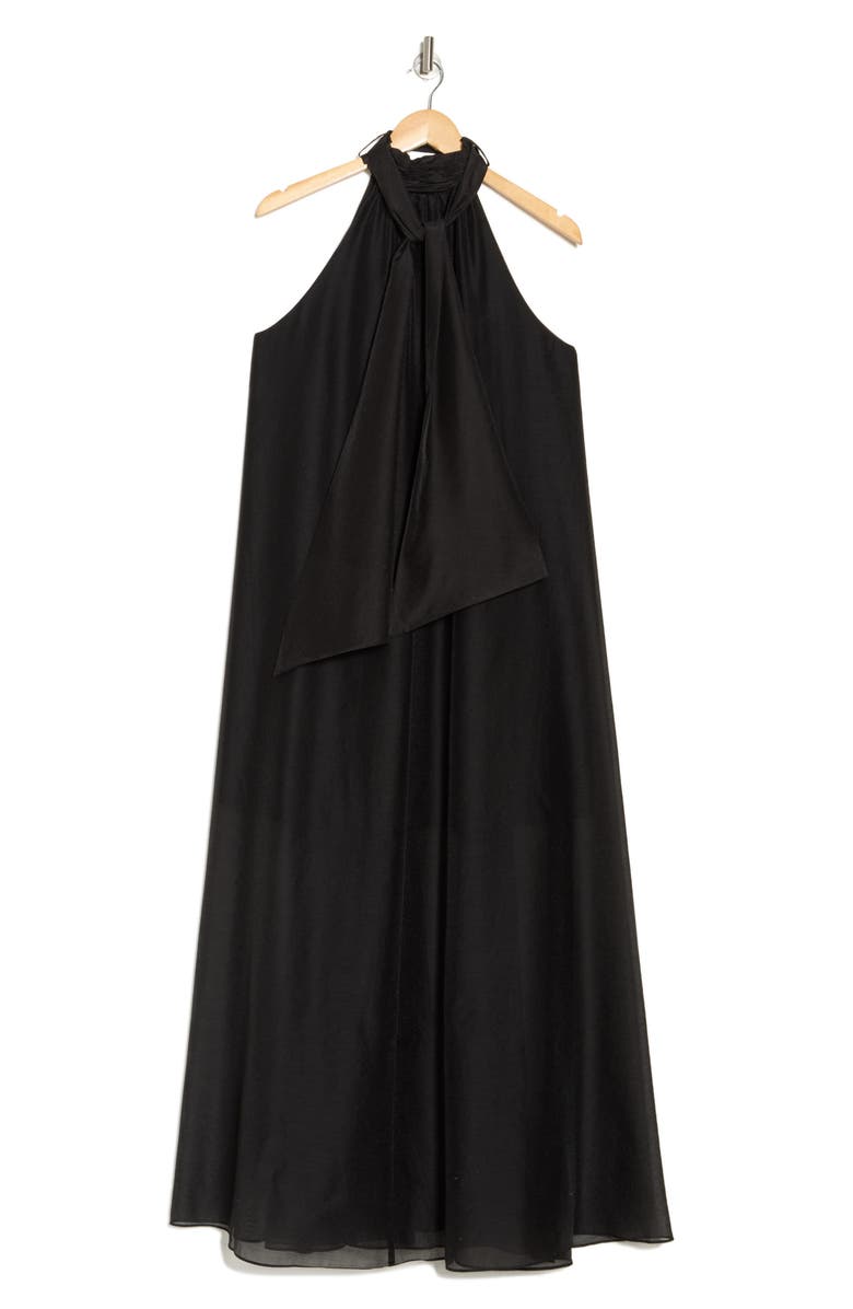 Ted Baker London Arikka Sleeveless Organza Maxi Dress, Alternate, color,