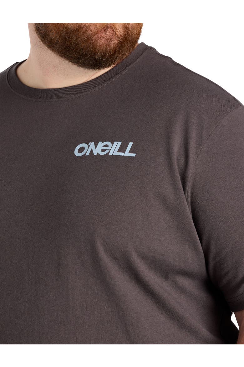Big & Tall Dawn Classic Graphic Tee, Alternate, color, GRAPHITE