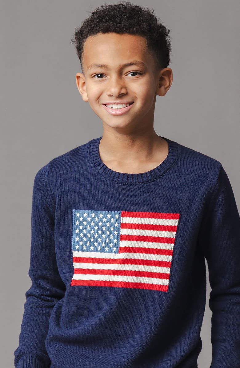 Hope & Henry Organic Crew Neck Flag Sweater, Alternate, color, Navy Flag