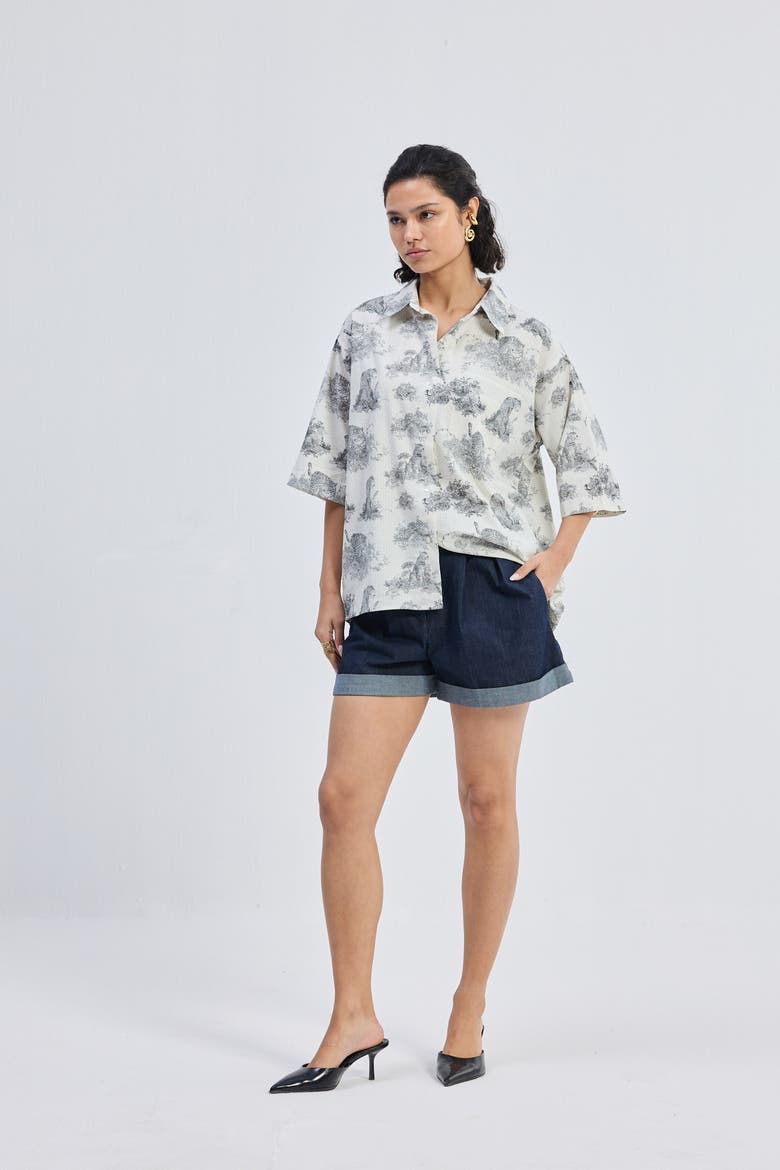 Oversized High-Low Shirt, Alternate, color, Light Green