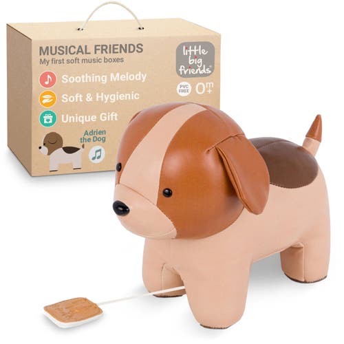 Little Big Friends Musical Animals In Multi