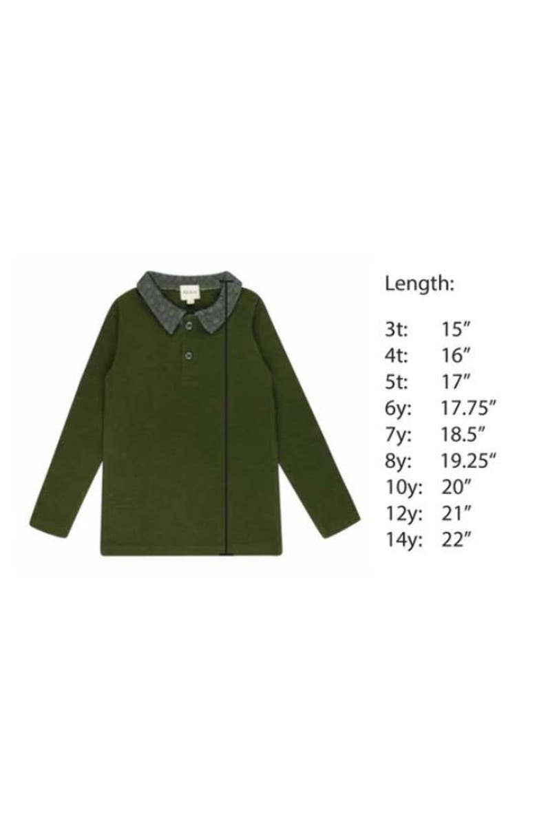 Ely's & Co. Velour Plaid Bear Collection - Polo, Alternate, color, Green