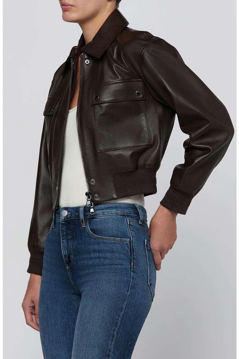 Clotilde Leather Bomber Jacket, Alternate, color, BRUNETTE