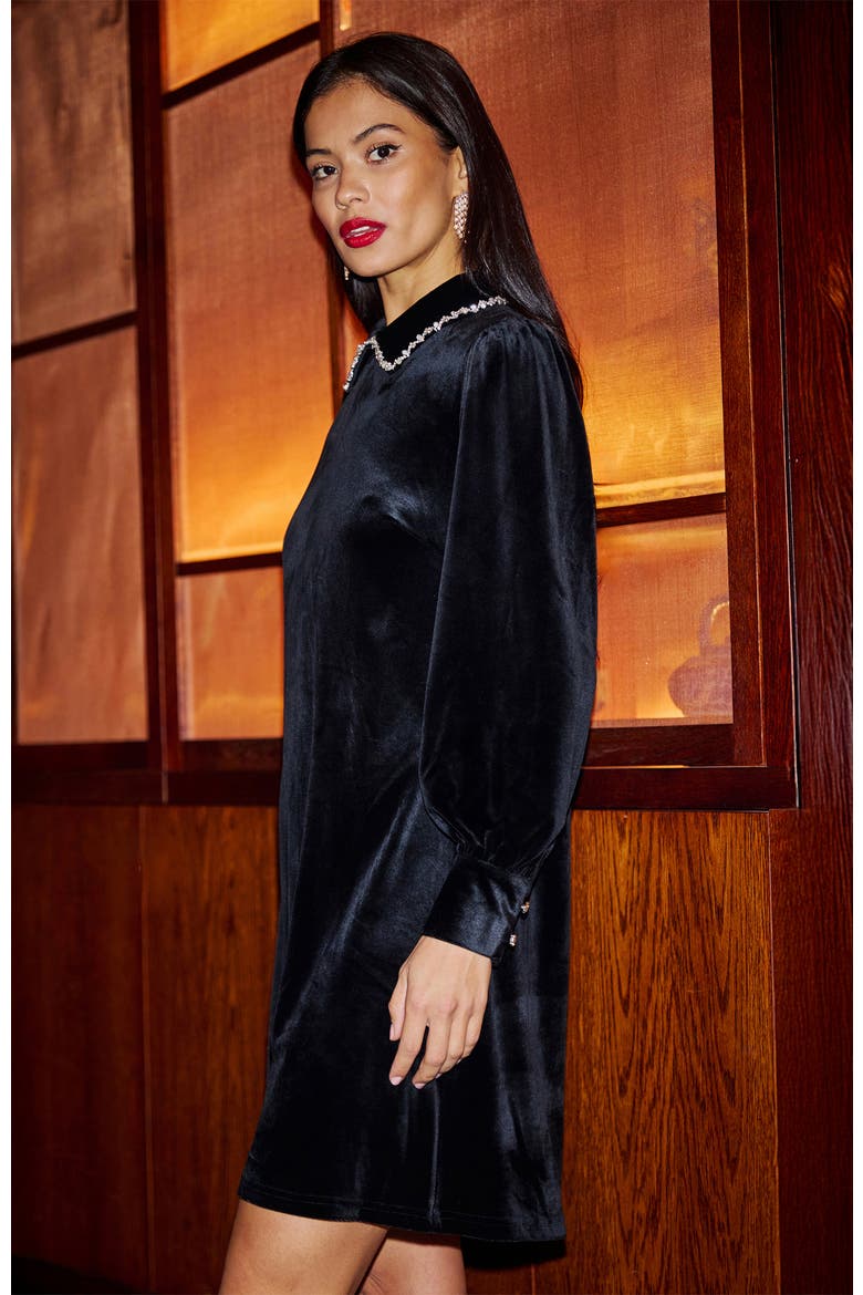 Long Sleeve Velvet Tunic Dress, Alternate, color, Black