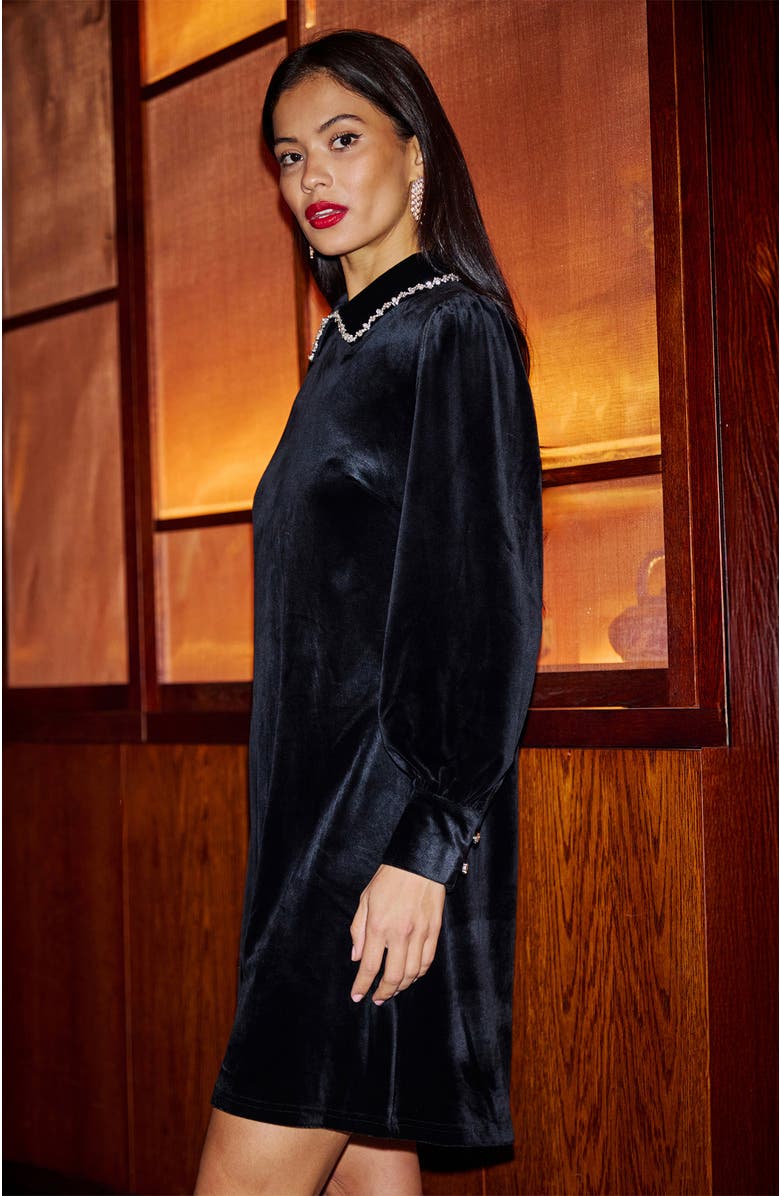 Yumi Long Sleeve Velvet Tunic Dress, Alternate, color, Black