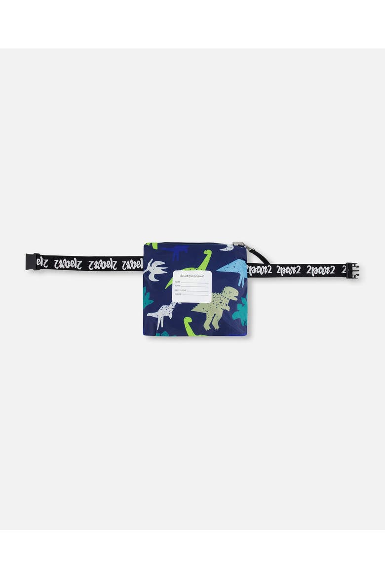 Packable Dinosaur Windbreaker in Polyester, Alternate, color, Blue Dinosaur Print