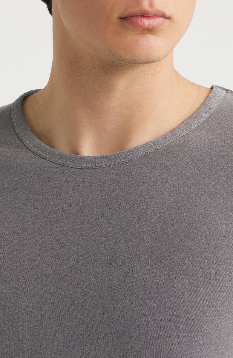 ALEX CRANE Long Sleeve Organic Cotton Crewneck T-Shirt, Alternate, color, Silver