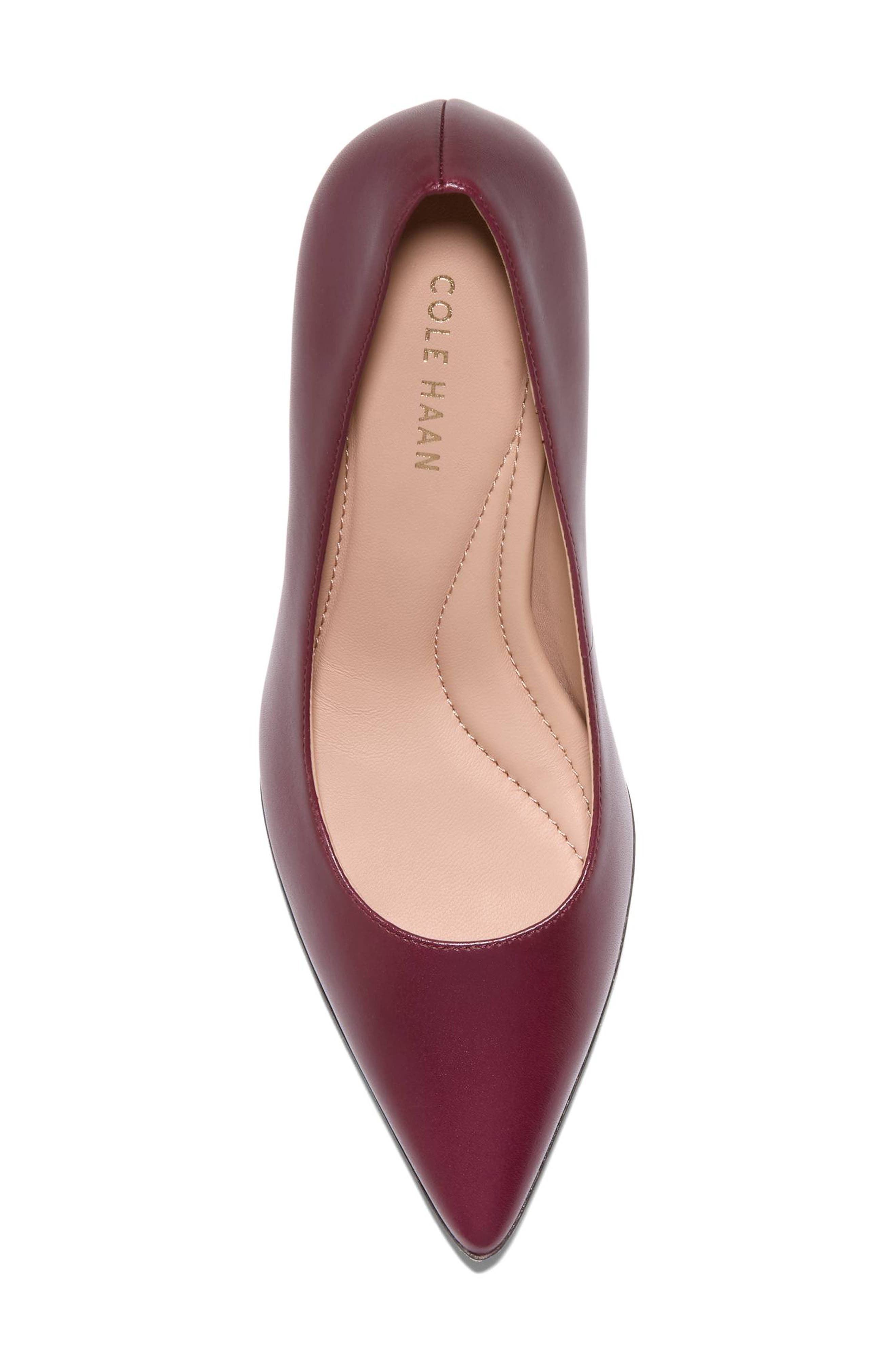 Grand Ambition Angelica Pointed Toe Pump, Alternate, color, BLACK GARNET LEATHER