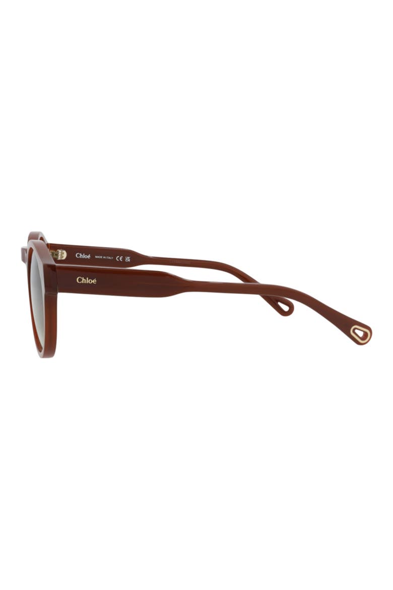 52mm Round Sunglasses, Alternate, color, BROWN BROWN GREEN