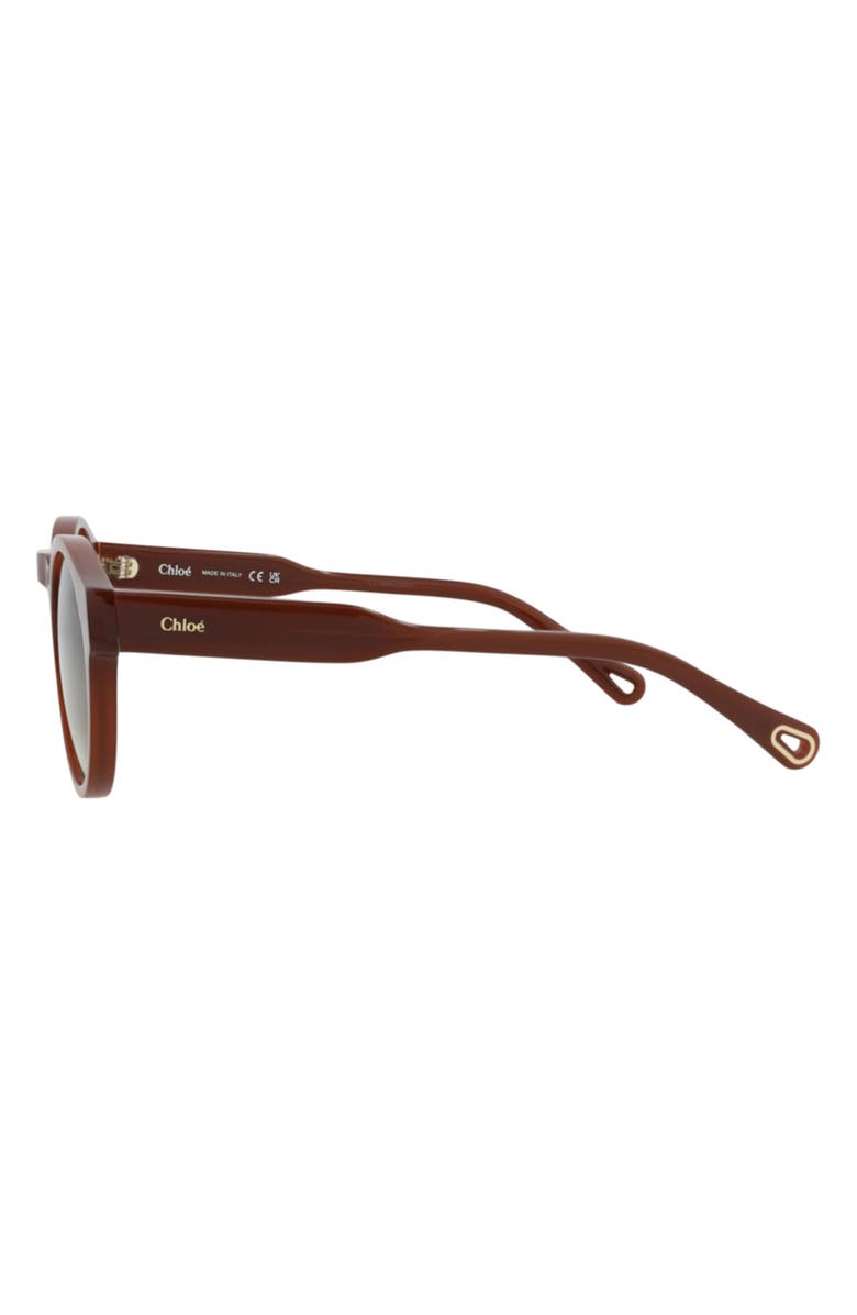 Chloé 52mm Round Sunglasses, Alternate, color, Brown Brown Green