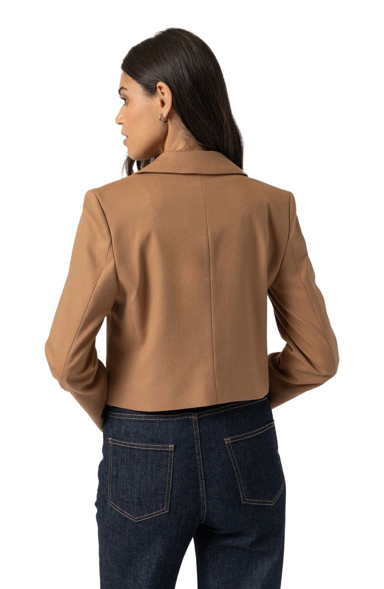 Saint + Sofia Astrid Crop Blazer, Alternate, color, Brown
