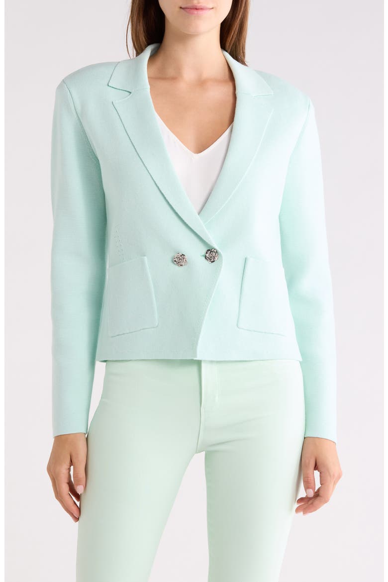 Sofia Knit Blazer, Main, color, PALE JADE/NICKEL ROSE