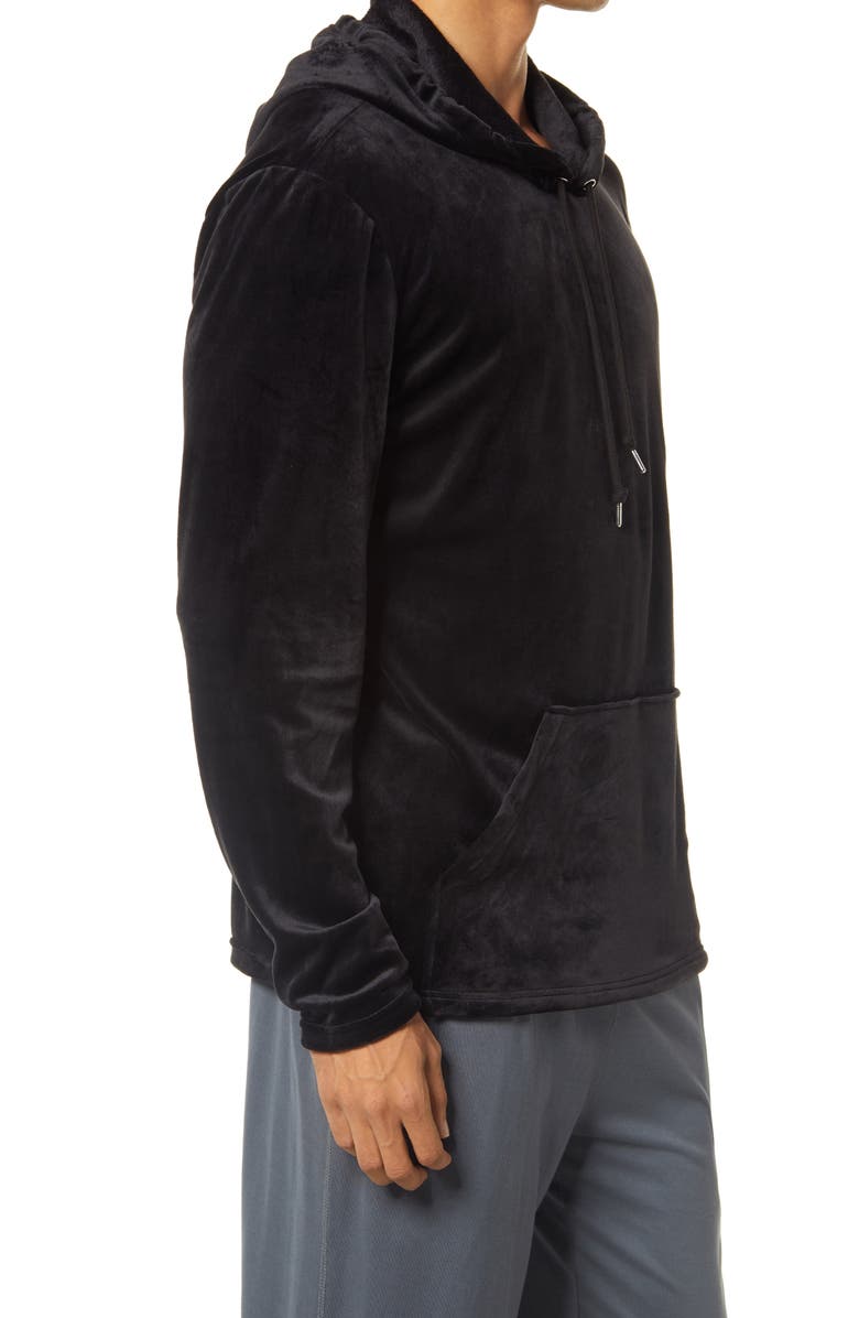 Polo Ralph Lauren Velour Hoodie, Alternate, color,
