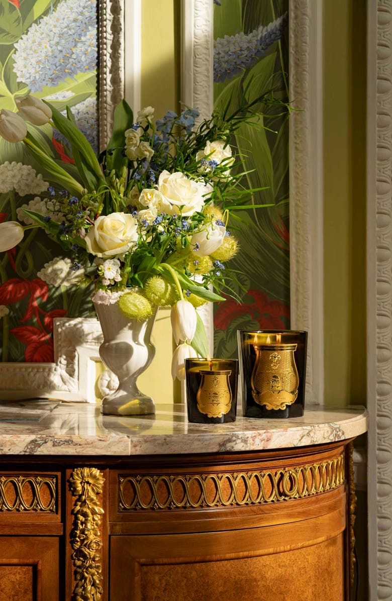 Trudon Madeleine Floral Leather Classic Candle, Alternate, color, 