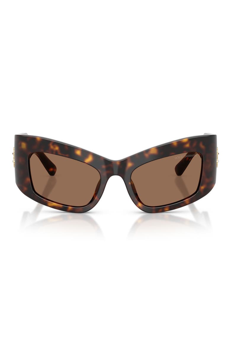 53mm Cat Eye Sunglasses, Main, color, HAVANA / DARK BROWN