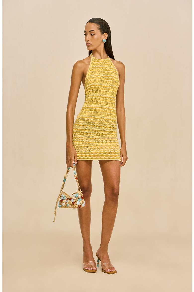 Erina Knit Halter Body-Con Minidress, Alternate, color, MARIGOLD
